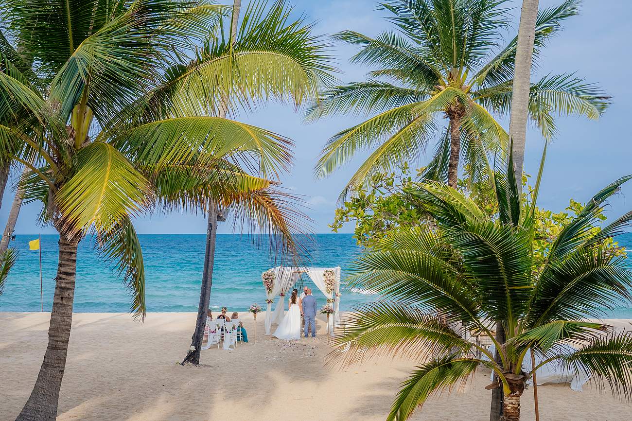Wedding ceremony on the beach at New Star Beach Resort, Koh Samui, framed by palm trees and overlooking the turquoise sea.